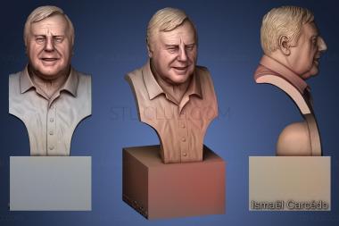 3D model Pierre Saillant (STL)